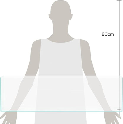 LANDEN 90L 10.8 Gal Rimless Low Iron Aquarium Long Fish Tank, Bookshelf Aquarium, W35.4×D7.87×H9.84 in(90x20x25cm) 6mm Thickness with Black Nano Foam Leveling mat Included Landen