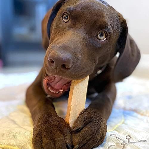 Himalayan Dog Chew Original Yak Cheese Dog Chew, 3 XL/Large Sticks, 3.3 oz, Gluten Free, Healthy Dog Treats, Grain & Lactose Free 100% Natural, Long Lasting Dog Chews for Dogs Under 65 lbs - PAWPICO