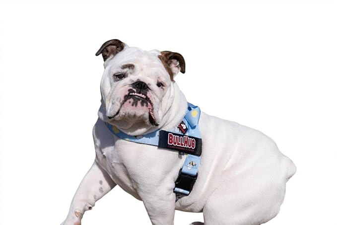 BULLHUG Harness – Made for Larger Chested Dogs Like English Bulldogs, French Bulldogs, Pugs & More. Stops Dogs from Pulling & Choking on Walks (Bumble BEE, Large) BULLHUG
