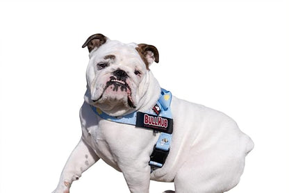 BULLHUG Harness – Made for Larger Chested Dogs Like English Bulldogs, French Bulldogs, Pugs & More. Stops Dogs from Pulling & Choking on Walks (Bumble BEE, Large) BULLHUG