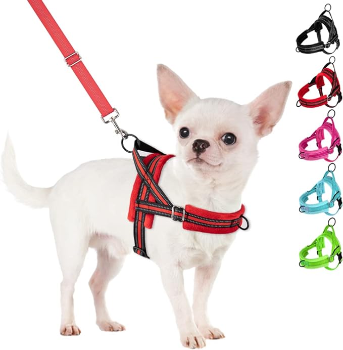 SlowTon No Pull Small Dog Harness and Leash Set, Puppy Soft Vest Harness Neck & Chest Adjustable, Reflective Lightweight Harness & Anti-Twist Pet Lead Combo for Small Medium Dogs (R-Front Clip,XXS) SlowTon