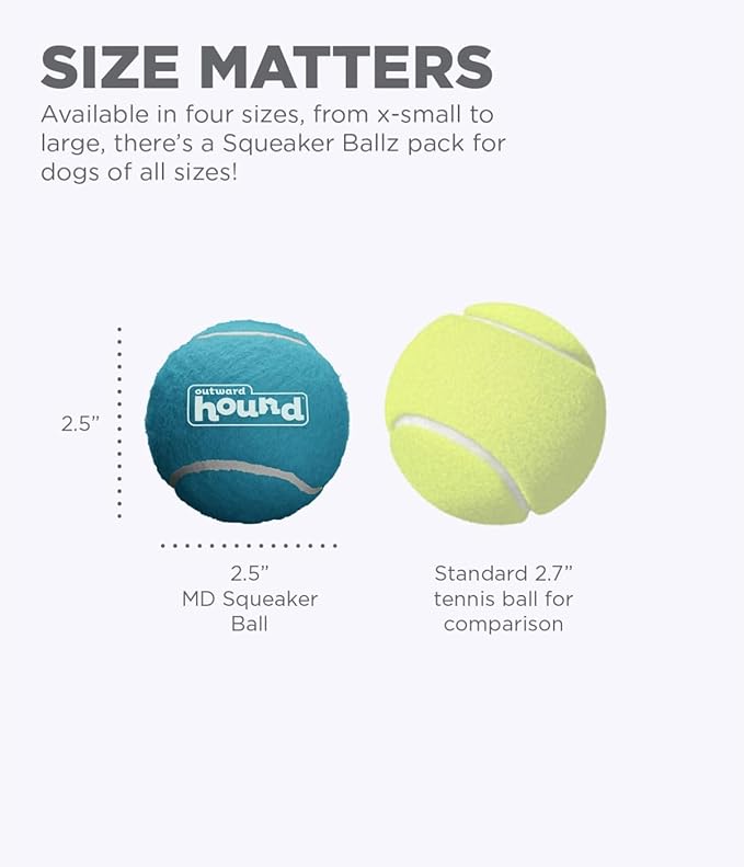 Outward Hound Squeaker Ballz Fetch Dog Toy, Medium - 4 Pack - PAWPICO