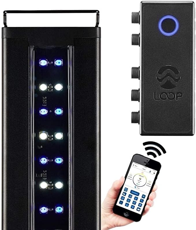 CURRENT USA 72" Inch Orbit Marine IC LOOP LED Saltwater Reef Marine Aquarium Light with Bluetooth App Control | Wireless Lighting & eFlux Wave Pump Control for Fish Tank (4208) Current+USA
