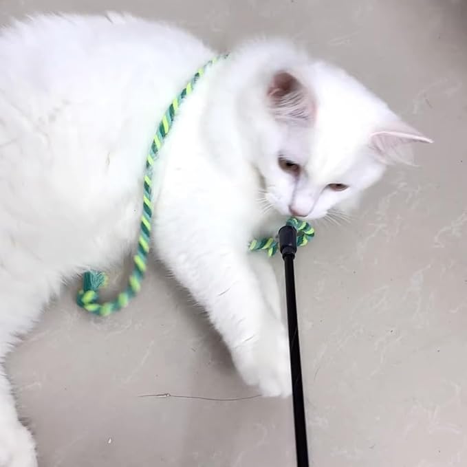 IUHKBH Cat Wands, 4 PCS Colorful Rope Cat Toys Interactive Cat Teaser Wands with Bell for All Breed Sizes - PAWPICO