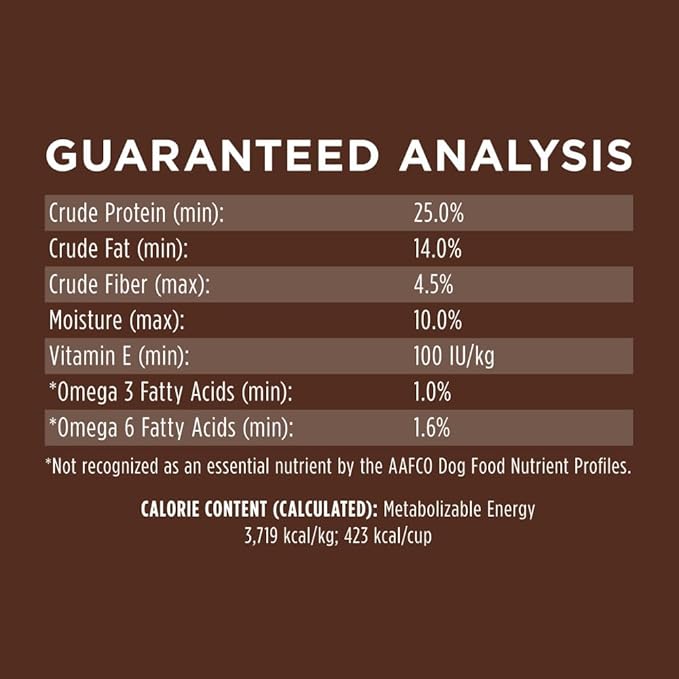 Instinct Be Natural Real Salmon & Brown Rice Recipe Natural Dry Dog Food, 24 lb. Bag - PAWPICO