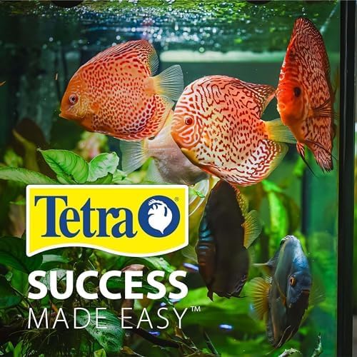 Tetra Bubbling LED Aquarium Kit 1 Gallon, Hexagon Shape, With Color-Changing Light Disc Tetra