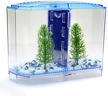 Penn-Plax Twin Betta Bow-Front Kit for Aquarium Blue, Green, Tank is 7.5" Across The Front, 6" Across The Back Penn-Plax