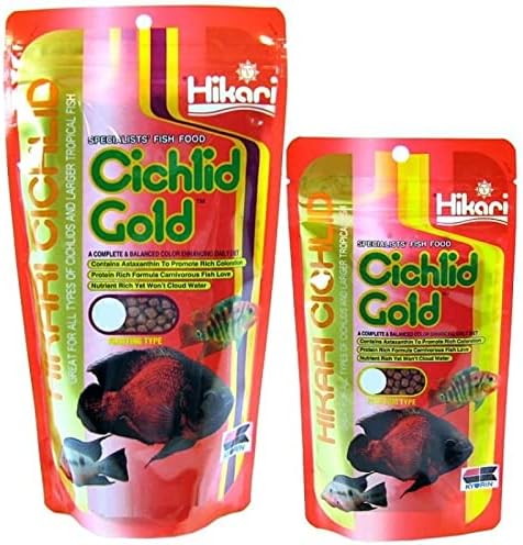 Hikari 8.8-Ounce Cichlid Gold Floating Pellets for Pets, Medium Hikari