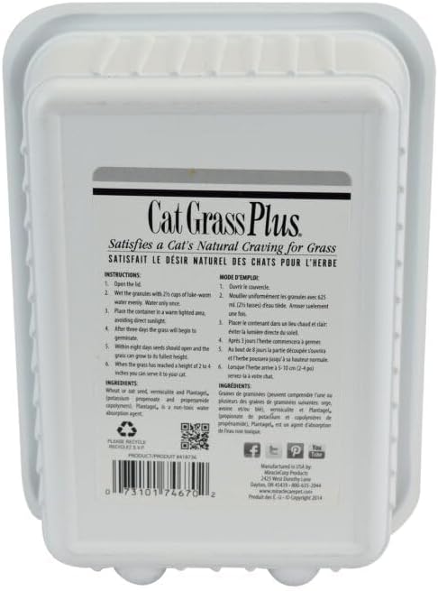 Miracle Care Cat-A'bout Cat Grass For Indoor Cats, 5.25 oz, Cat Grass Growing kit for all cats, Cat Grass Growing Kit Includes Potting Mix, Seeds, and Container MiracleCare
