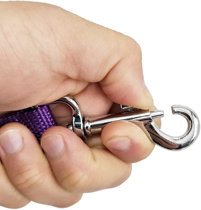 Nylon Dog Training Leash, Traction Rope, 4Ft /5 Foot /6 Feet Long, 5/8 inch 3/4 Inch 1 Inch Wide, for Small and Medium Dogs (1'' x 7 FT, Purple) - PAWPICO