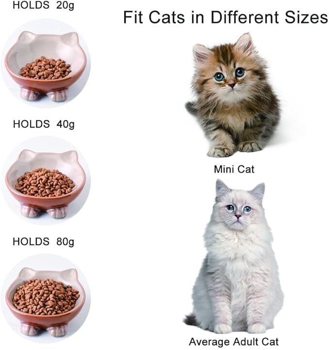 Nihow Ceramic Basic Cat Bowls: 5 Inch Cat Bowl for Food & Water - Food Grade Cat Dish for Small-Sized Cat - Microwave & Dishwasher Safe -Elegant Brown (4.25 OZ /1 PC) - PAWPICO