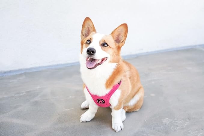 Gooby Escape Free Sport Harness - Pink, Medium - No Choke Step-in Patented Neoprene Small Dog Harness with Four-Point Adjustment - Perfect on The Go Dog Harness for Medium Dogs No Pull and Small Dogs Gooby