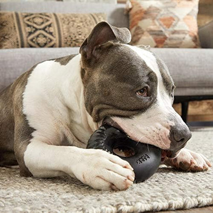 Barkbox Super Chewer Tough Dog Chew Toys for Aggressive Chewers, Dental Stimulating (Radius - Large) - PAWPICO