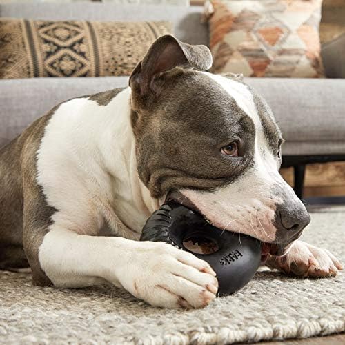 Barkbox Super Chewer Tough Dog Chew Toys for Aggressive Chewers, Dental Stimulating (Radius - Large) - PAWPICO