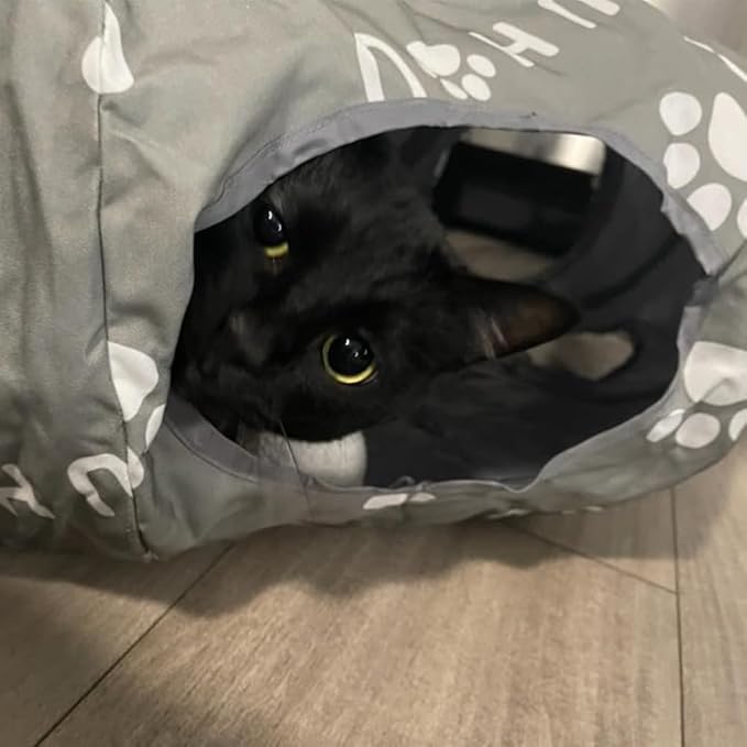 Cat Tunnel Bed, Cat Tunnels for Indoor Cats, Cat Donut Tunnel with Mat, Straight Tunnel, 4 Hanging Balls and Blackout Tent, Collapsible Peekaboo Cat Cave - PAWPICO