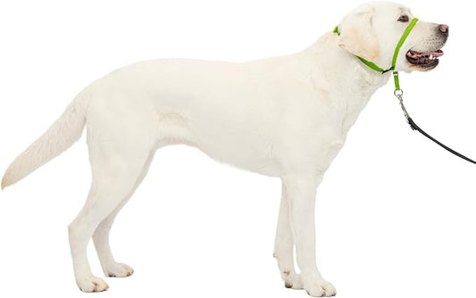 PetSafe Gentle Leader No-Pull Dog Headcollar - The Ultimate Solution to Pulling - Redirects Your Dog's Pulling for Easier Walks - Helps You Regain Control - Large, Apple Green PetSafe