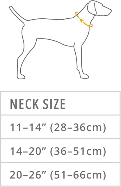 Ruffwear, Front Range Dog Collar, Durable and Comfortable Collar for Everyday Use, Wildflower, 11"-14" RuffwearInc