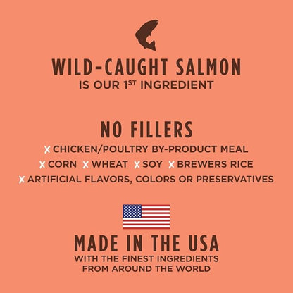 Instinct Be Natural Real Salmon & Brown Rice Recipe Natural Dry Dog Food, 24 lb. Bag - PAWPICO