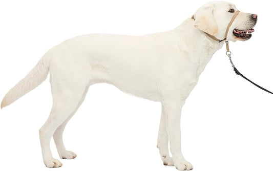 PetSafe Gentle Leader No-Pull Dog Headcollar - The Ultimate Solution to Pulling - Redirects Your Dog's Pulling for Easier Walks - Helps You Regain Control - Large, Fawn PetSafe