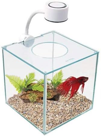 Marina CUBUS Glass Betta Kit – Elegant Glass Aquarium for Homes or Offices Marina+Women%27s+Dresses