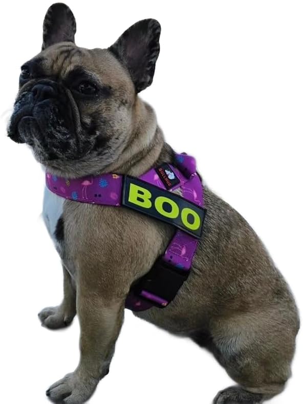 BULLHUG Harness – Made for Larger Chested Dogs Like English Bulldogs, French Bulldogs, Pugs & More. Stops Dogs from Pulling & Choking on Walks (Flamingos, Large) BULLHUG