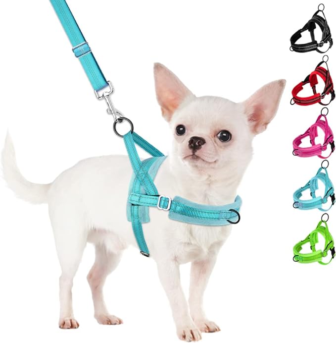 SlowTon No Pull Small Dog Harness and Leash Set, Puppy Soft Vest Harness Neck & Chest Adjustable, Reflective Lightweight Harness & Anti-Twist Pet Lead Combo for Small Medium Dogs (BL-Front Clip,XS) SlowTon