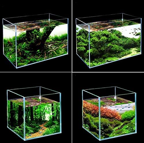 Rimless Low Iron 2.1 Gallon Glass Aquarium Tank 7.8" L × 7.8" W × 7.8" H / 20cm x 20cm x 20cm, 5mm Thickness Standard Jointed BEGONDIS