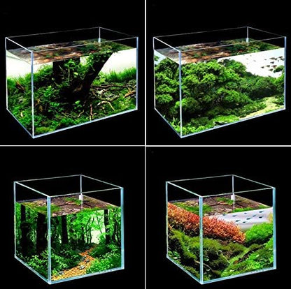 Rimless Low Iron 2.1 Gallon Glass Aquarium Tank 7.8" L × 7.8" W × 7.8" H / 20cm x 20cm x 20cm, 5mm Thickness Standard Jointed BEGONDIS