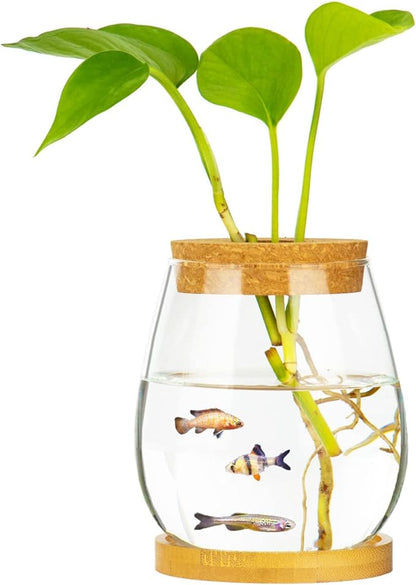 Desktop Fish Bowl Clear Glass Small Fish Tank with Wood Lid and Bamboo Stand for Betta Fish Plants Terrarium Home Office Decoration Gifts CUSNESTAL