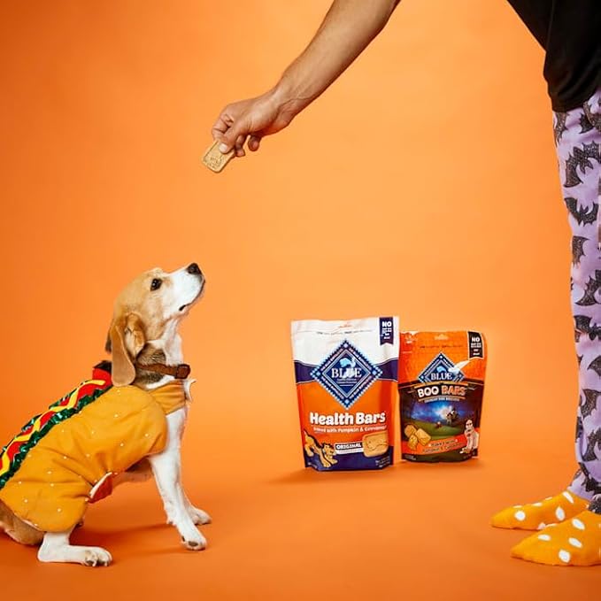 Blue Buffalo Health Bars Crunchy Dog Biscuits, Oven-Baked With Natural Ingredients, Pumpkin & Cinnamon, 16-oz Bag - PAWPICO