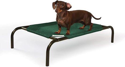 Coolaroo The Original Cooling Elevated Pet Bed,Brunswick Green, Small - PAWPICO