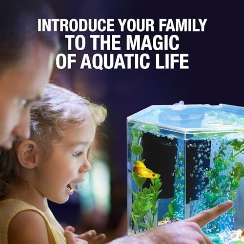 Tetra Bubbling LED Aquarium Kit 1 Gallon, Hexagon Shape, With Color-Changing Light Disc Tetra
