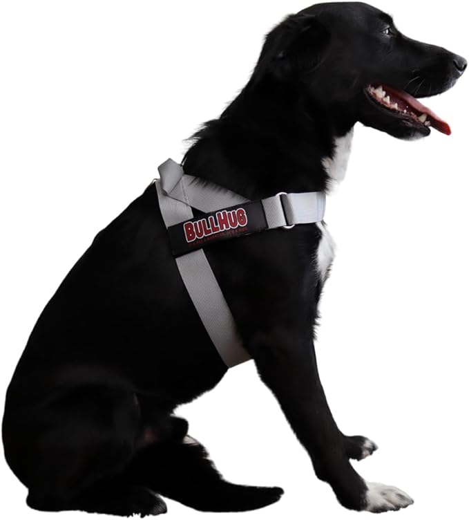 BULLHUG Harness – Made for Larger Chested Dogs Like English Bulldogs, French Bulldogs, Pugs & More. Stops Dogs from Pulling & Choking on Walks (Silver, XL) BULLHUG