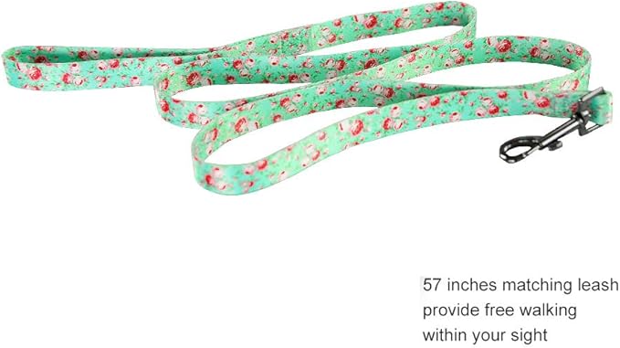 Ihoming Dog Collar and Leash Set for Daily Outdoor Walking Running Training, Floral GreenLake Design for Large Boys Girls Dogs Cats Pets, L-Up to 80LBS Ihoming