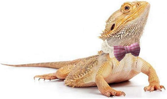 Lizard Bearded Dragons Stretchy Pink White Plaid Bowtie with Elastic Lace Decor Handmade Bowknot Collar Bandanas Costume Reptile Apparel Photo Gift Lizard Clothes Accessories for Bearded Dragon HAICHENTEC