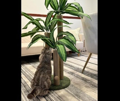 31.5Inch Cat Scratching Post,Cat Scratcher Tree with 3 Scratching Poles & 2 Interactive Dangling Balls,Cats Scratching Posts for Indoor Kitten & Adult Cats - PAWPICO