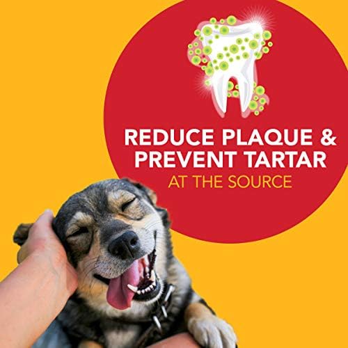 Petrodex Dental Care Kit for Dogs and Puppies, Cleans Teeth and Fights Bad Breath, Reduces Plaque and Tartar Formation, Enzymatic Tooth Brushing Kit, Poultry Flavor, 2.5oz Toothpaste + Toothbrush Petrodex