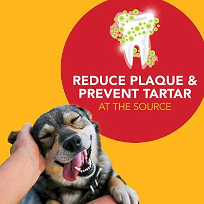 Petrodex Dental Care Kit for Dogs and Puppies, Cleans Teeth and Fights Bad Breath, Reduces Plaque and Tartar Formation, Enzymatic Tooth Brushing Kit, Poultry Flavor, 2.5oz Toothpaste + Toothbrush Petrodex