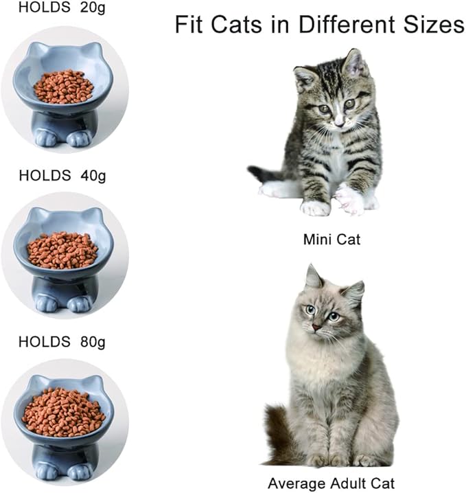 Nihow Elevated Cat/Dog Bowls: 5 Inch Ceramic Raised Cat Food & Water Bowl Set for Protecting Pet's Spine - Feeding & Watering Supplies for Pets - Elegant Gray (4.5 OZ /1 PC) - PAWPICO