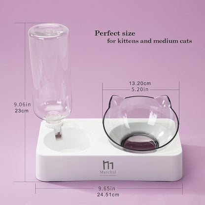 Marchul Tilted Cat Food Bowl with Feeding Mat for Food and Water, Food Feeding Dishes for Raised Cats and Puppies - PAWPICO