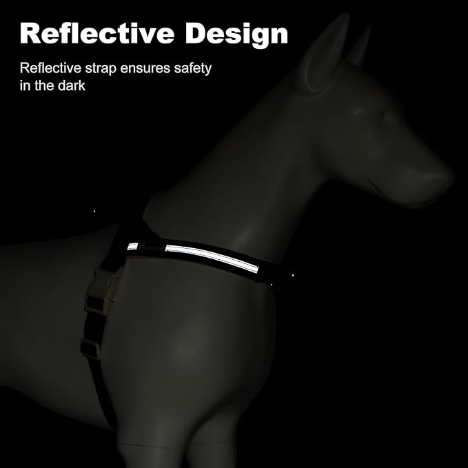 Plutus Pet Cotton Dog Harness and Leash Set, Reflective and Soft Padded, Quick Fit Vest Harness, for Small, Medium and Large Dogs, Orange, S - PAWPICO