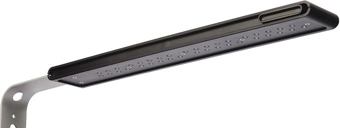 Fluval SPEC Aquarium Kit, Aquarium with LED Lighting and 3-Stage Filtration System, 5-Gallon Fluval