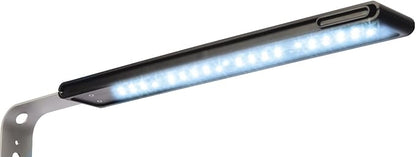 Fluval SPEC Aquarium Kit, Aquarium with LED Lighting and 3-Stage Filtration System, 5-Gallon Fluval