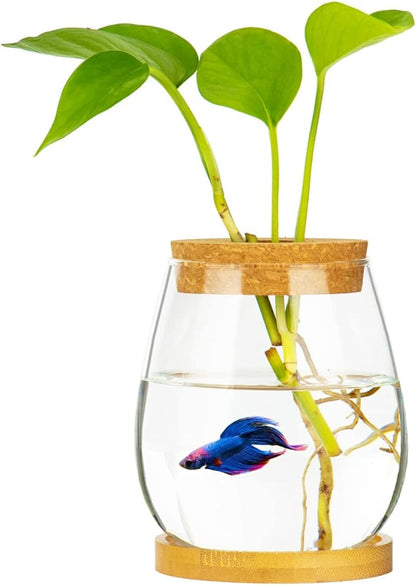 Desktop Fish Bowl Clear Glass Small Fish Tank with Wood Lid and Bamboo Stand for Betta Fish Plants Terrarium Home Office Decoration Gifts CUSNESTAL