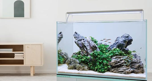 CURRENT USA 18-24" Inch White Full Spectrum Freshwater LED Aquarium Plant Light 10 15 20 25 Gallon | Satellite Plus RGB+ for Aquariums | Wireless 24 Hour Timer Remote Fish Tank Planted Lighting (4320) Current+USA