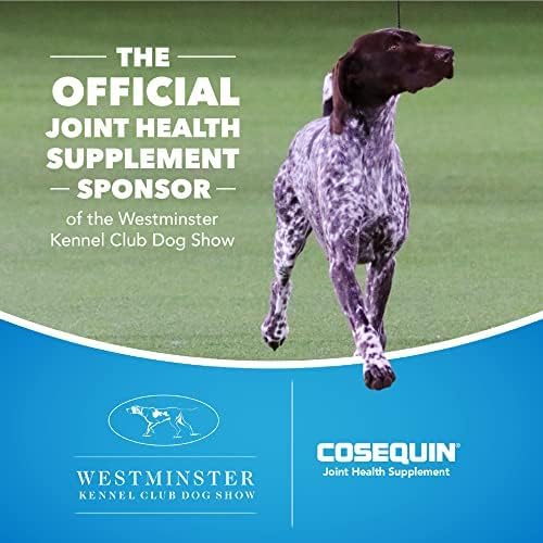 Nutramax Laboratories Cosequin Maximum Strength Joint Health Supplement for Dogs - With Glucosamine, Chondroitin, and MSM, 60 Chewable Tablets NutramaxLaboratories