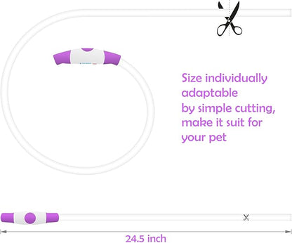 Light up Dog Collar, BSEEN USB Rechargeable Flash Dog Necklace Light, Pet Safety Collar Makes Your Beloved Dogs Be Seen at Night for Small Medium Large Dogs(Purple) BSEEN