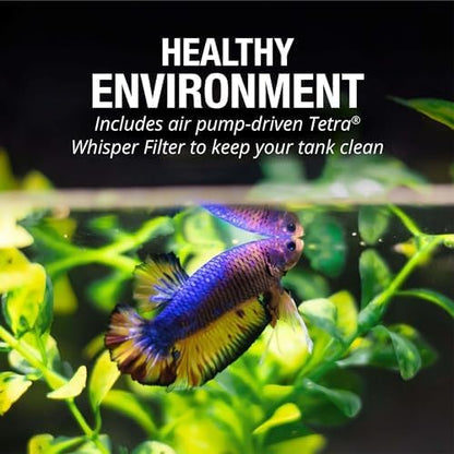 Tetra Bubbling LED Aquarium Kit 1 Gallon, Hexagon Shape, With Color-Changing Light Disc Tetra