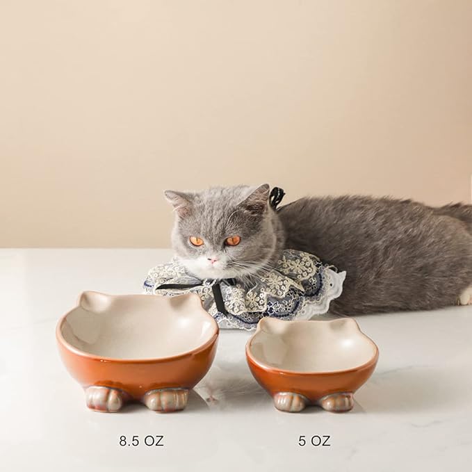 Nihow Ceramic Basic Cat Bowls: 5 Inch Cat Bowl for Food & Water - Food Grade Cat Dish for Small-Sized Cat - Microwave & Dishwasher Safe -Elegant Brown (4.25 OZ /1 PC) - PAWPICO