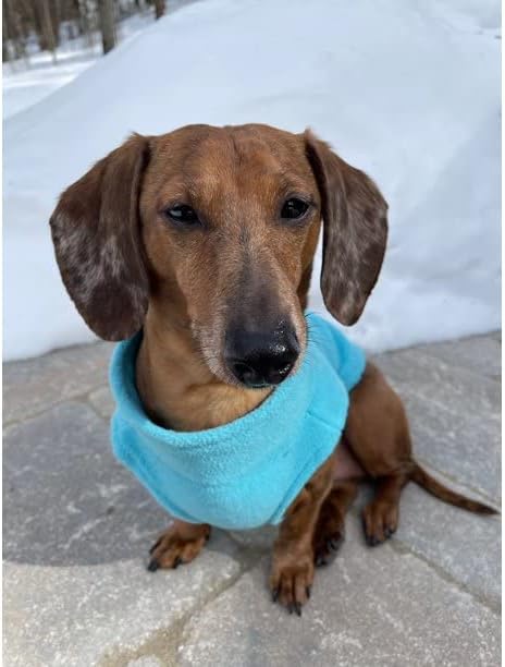 Gooby Zip Up Fleece Dog Sweater - Turquoise, 3X-Large - Warm Pullover Fleece Step-in Dog Jacket with Dual D Ring Leash - Winter Small Dog Sweater - Dog Clothes for Small Dogs Boy and Medium Dogs - PAWPICO